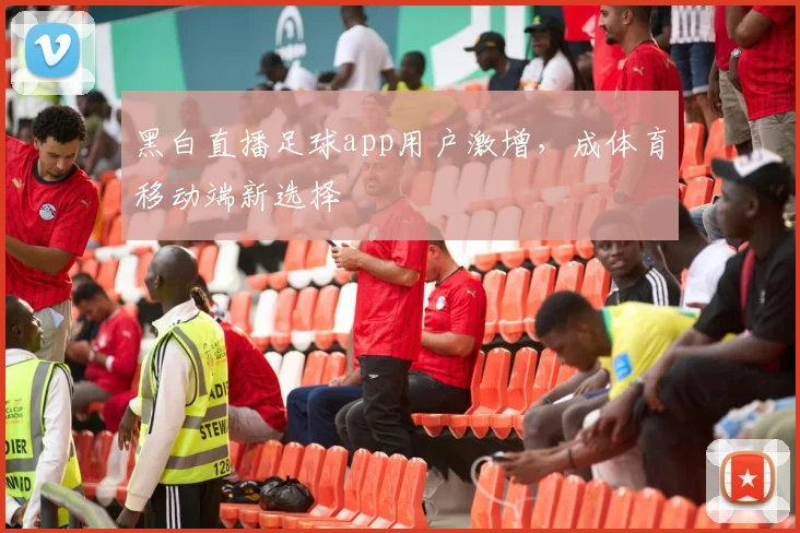 黑白直播足球app用户激增，成体育移动端新选择