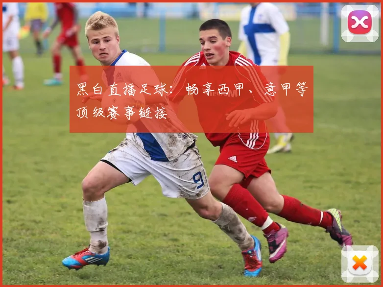 黑白直播足球：畅享西甲、意甲等顶级赛事链接