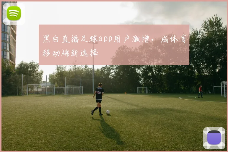 黑白直播足球app用户激增，成体育移动端新选择