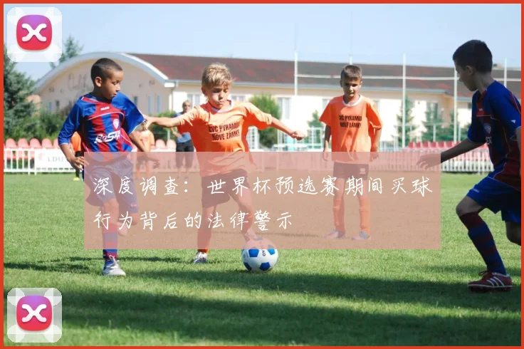 深度调查：世界杯预选赛期间买球行为背后的法律警示