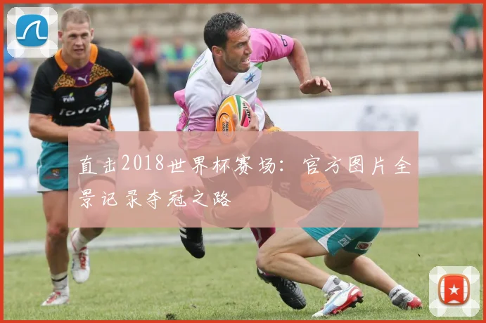 直击2018世界杯赛场：官方图片全景记录夺冠之路