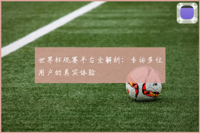 世界杯观赛平台全解析：专访多位用户的真实体验