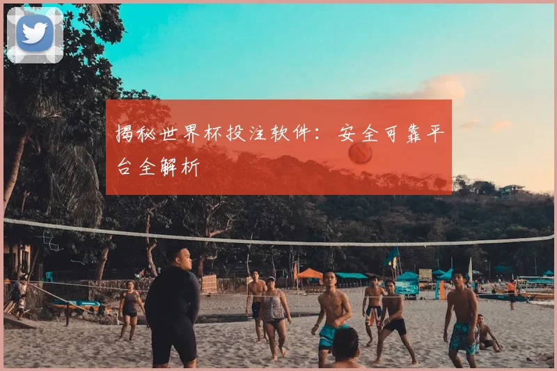 揭秘世界杯投注软件：安全可靠平台全解析