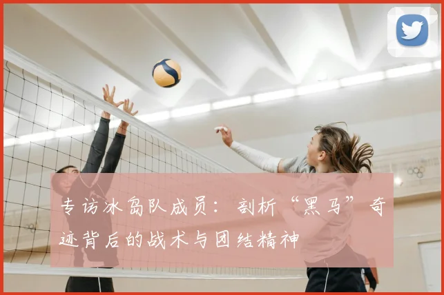 专访冰岛队成员：剖析“黑马”奇迹背后的战术与团结精神